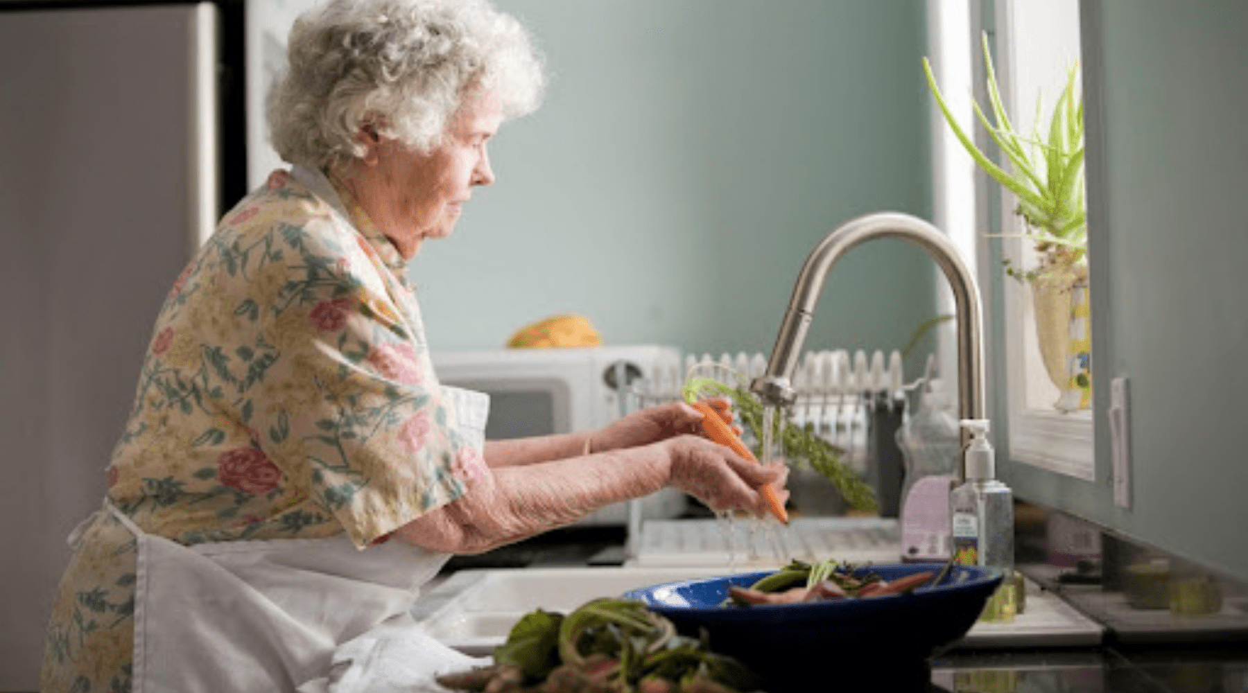 Elder Care Needs A Proper Diet, Too