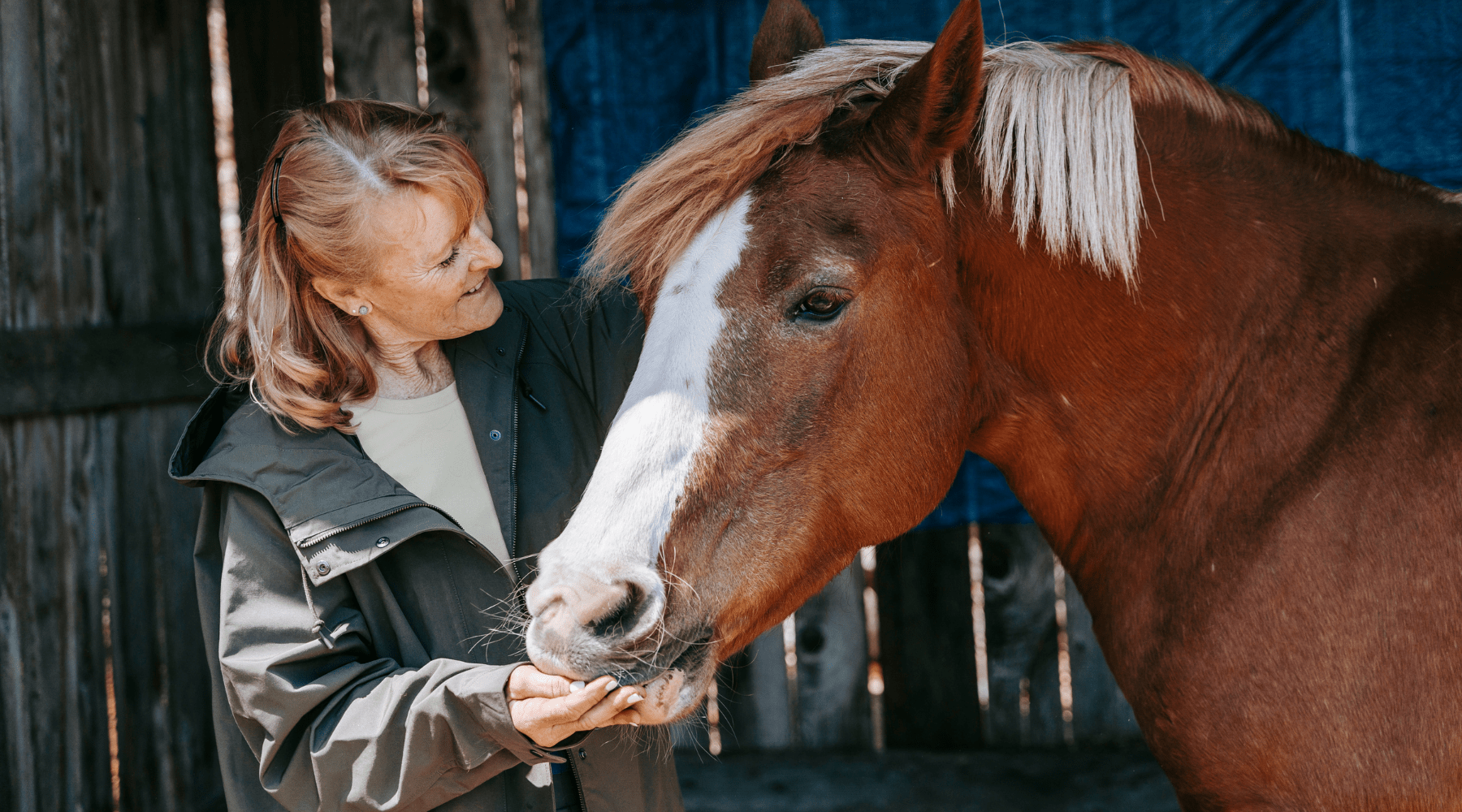 Can Animals Eat Grains? Tips for Your Dogs, Cats, and Farm Animals!