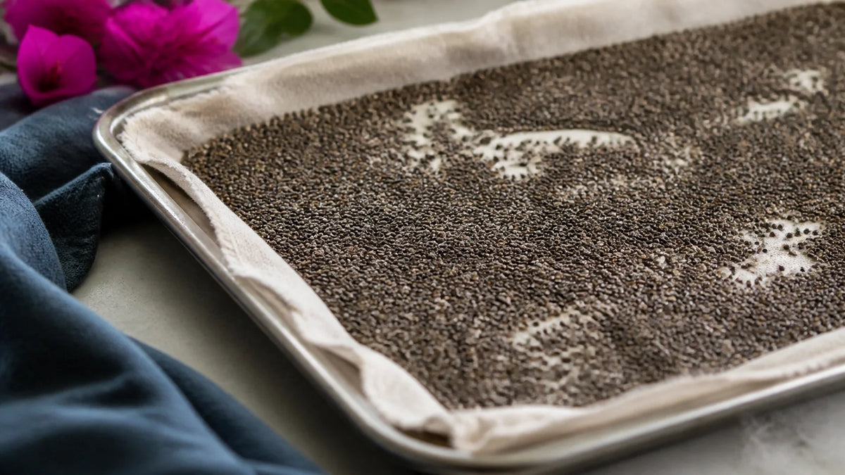 The Best Chia Seed and Protein Powder Recipe