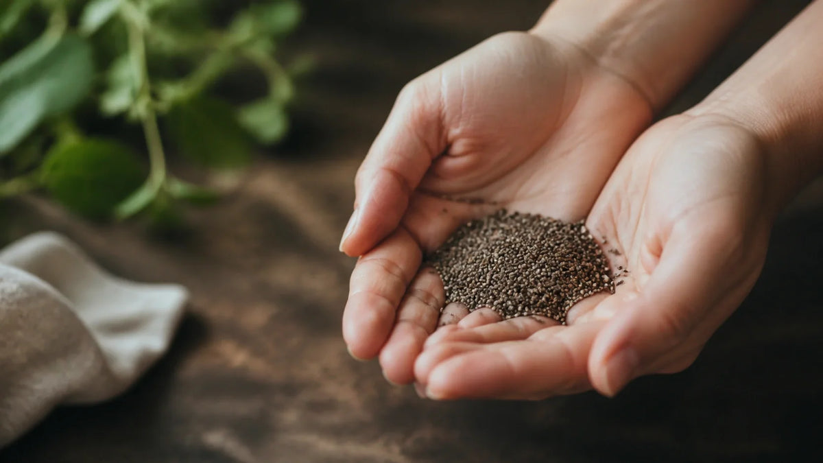 Quinoa vs Chia Seeds Nutrition Facts: A Practical Pantry Guide