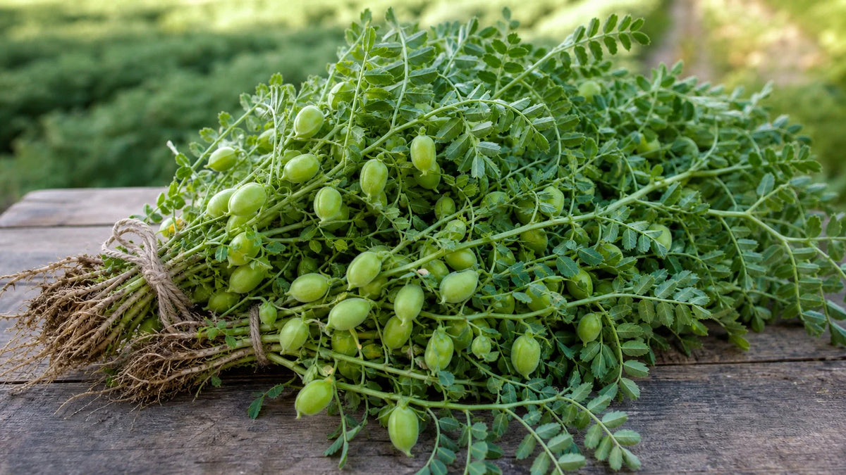 How Much Protein in 100 Gram Chickpeas? A Pantry Guide