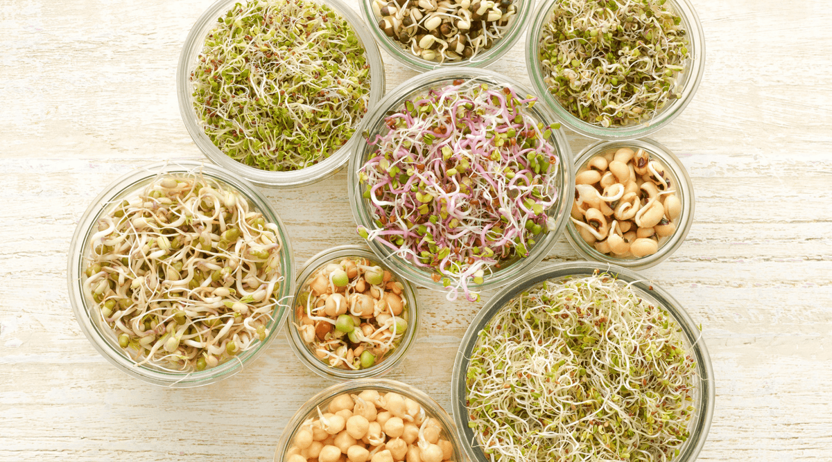 How To Grow Sprouts At Home