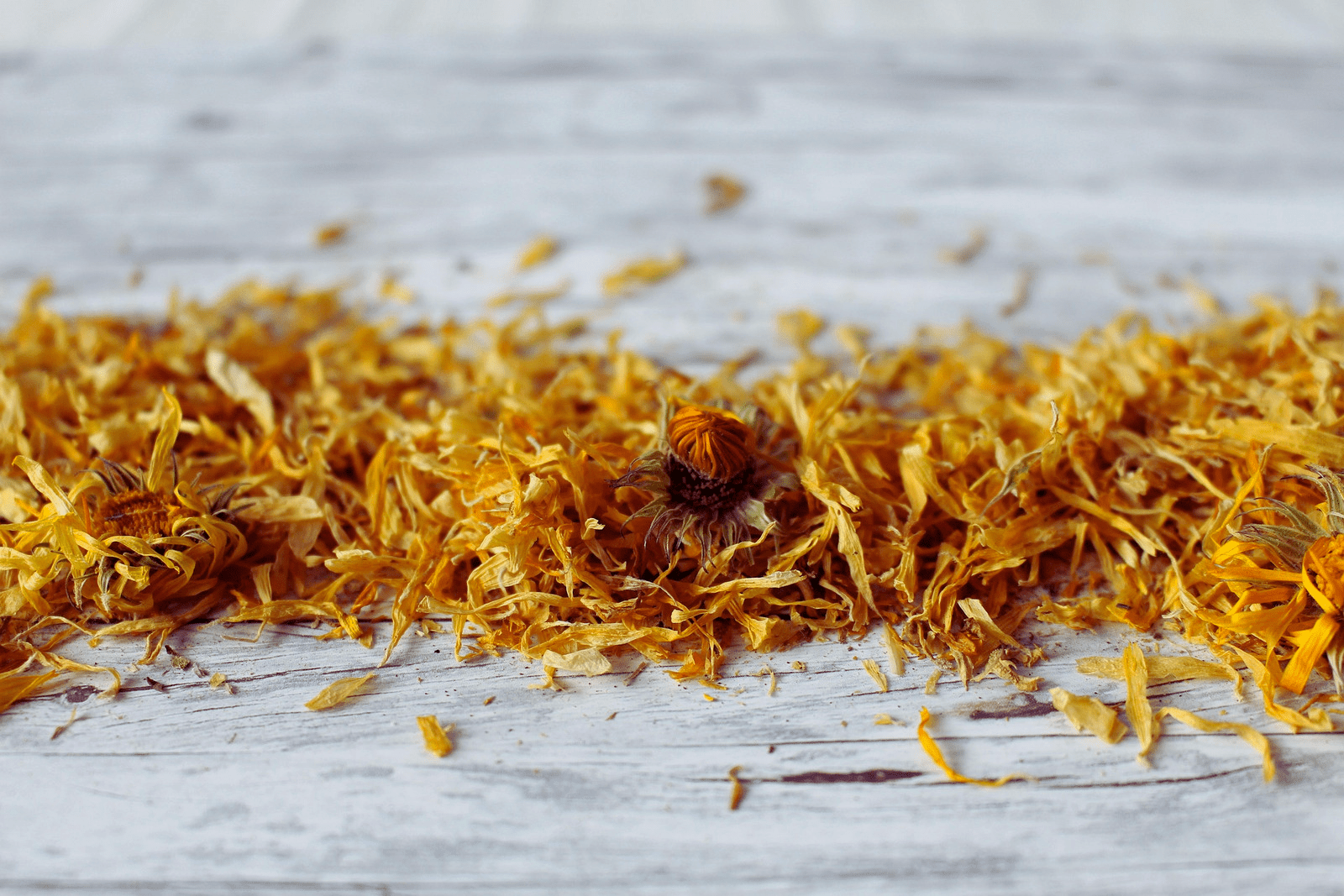 Calendula Flower, Herbs - Country Life Natural Foods