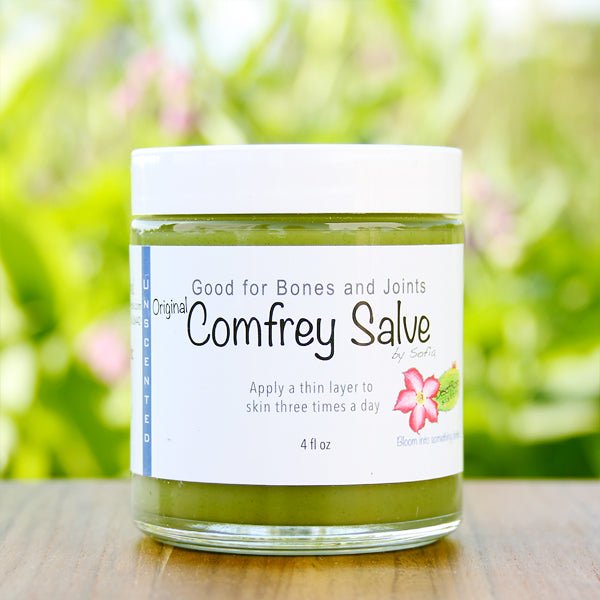 Herbal Comfrey Salve - Country Life Natural Foods