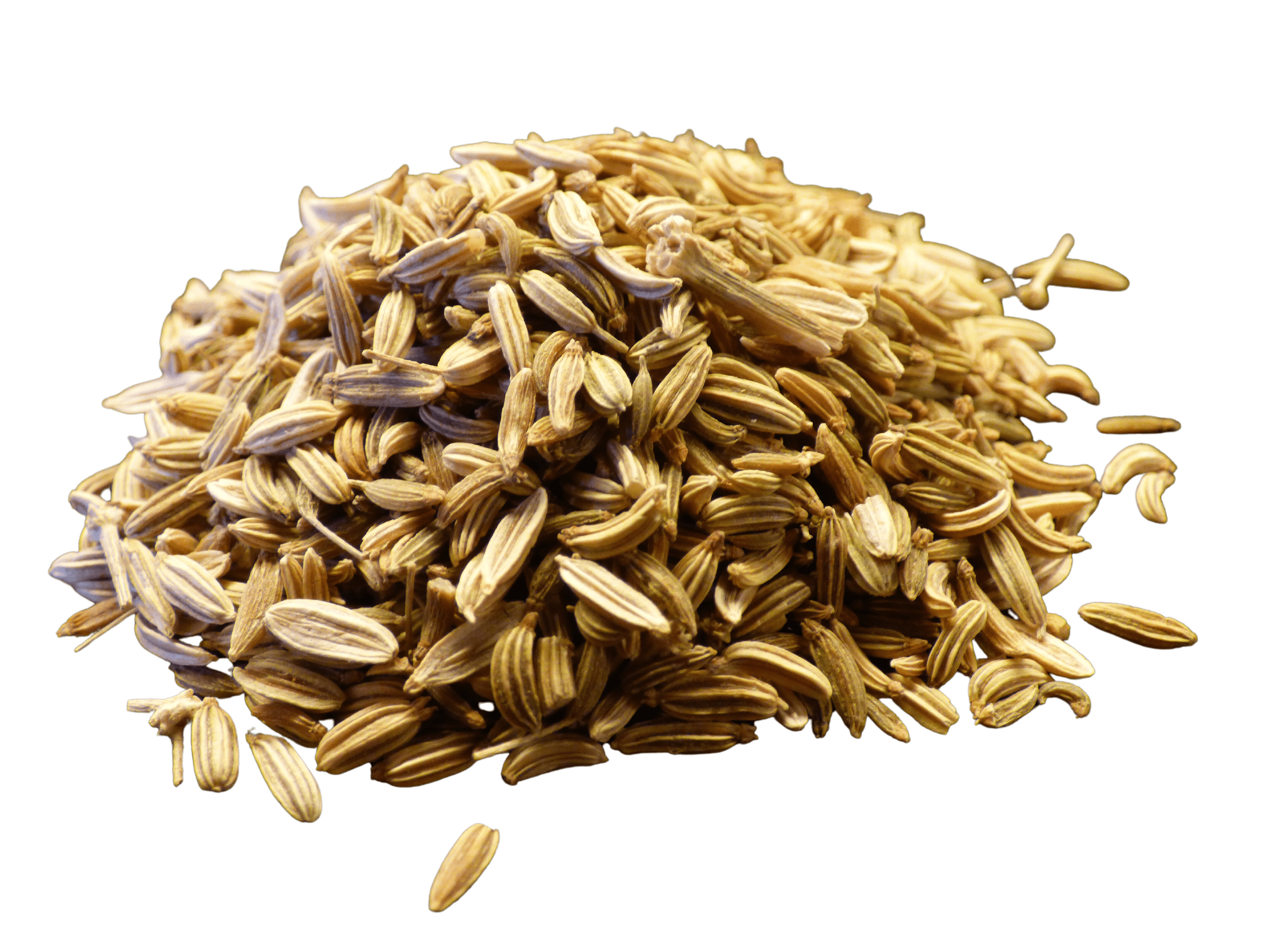 Fennel Seed, Whole, Herbs - Country Life Natural Foods