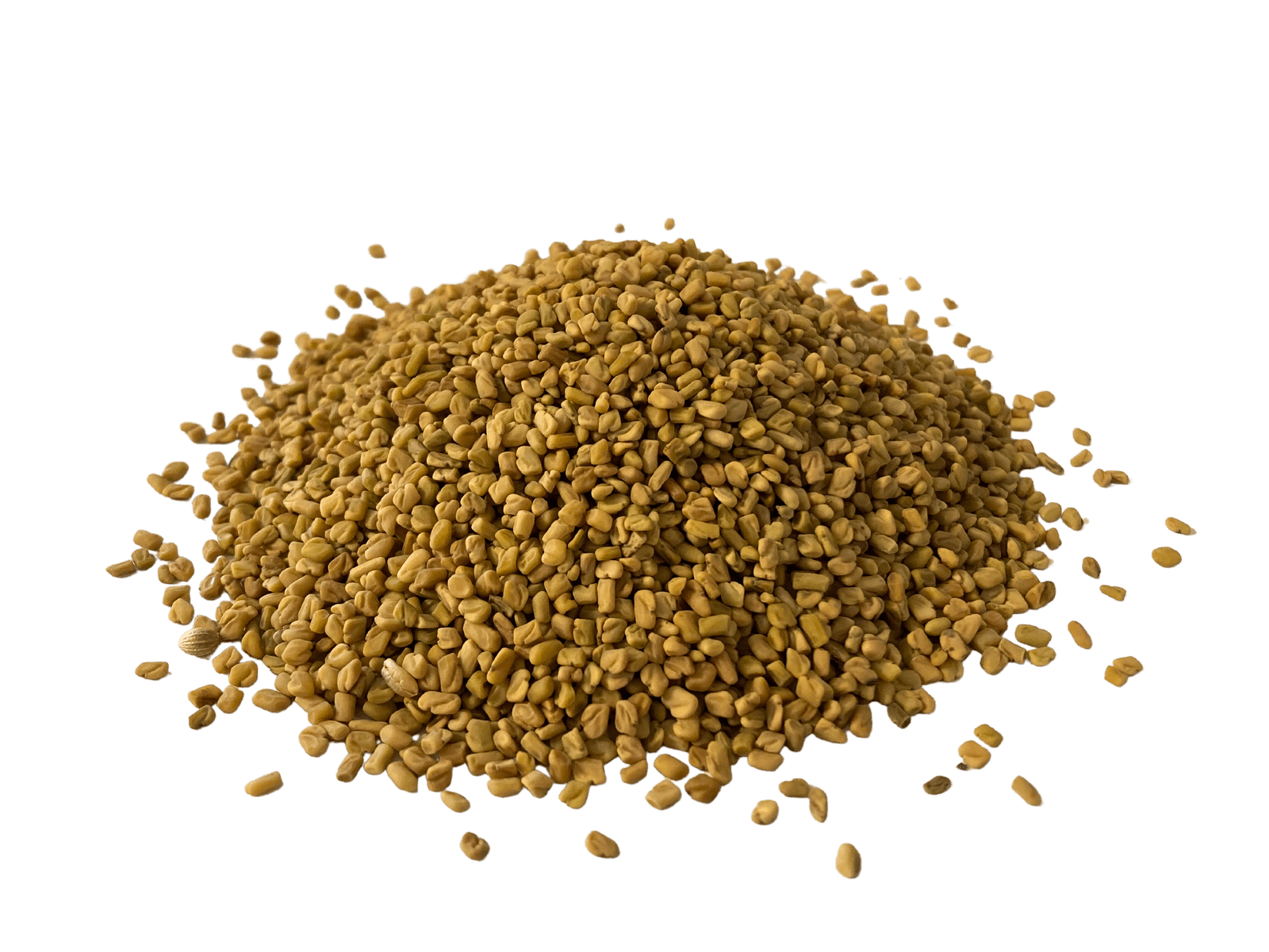 Fenugreek Seed, Whole, Herbs - Country Life Natural Foods