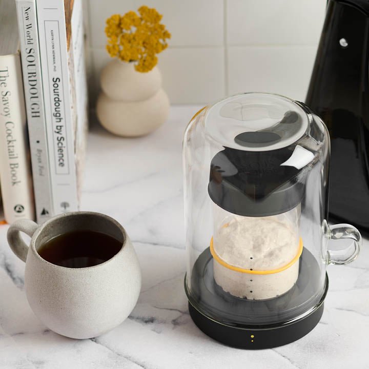 Goldie by Sourhouse + Cooling Puck - Country Life Natural Foods