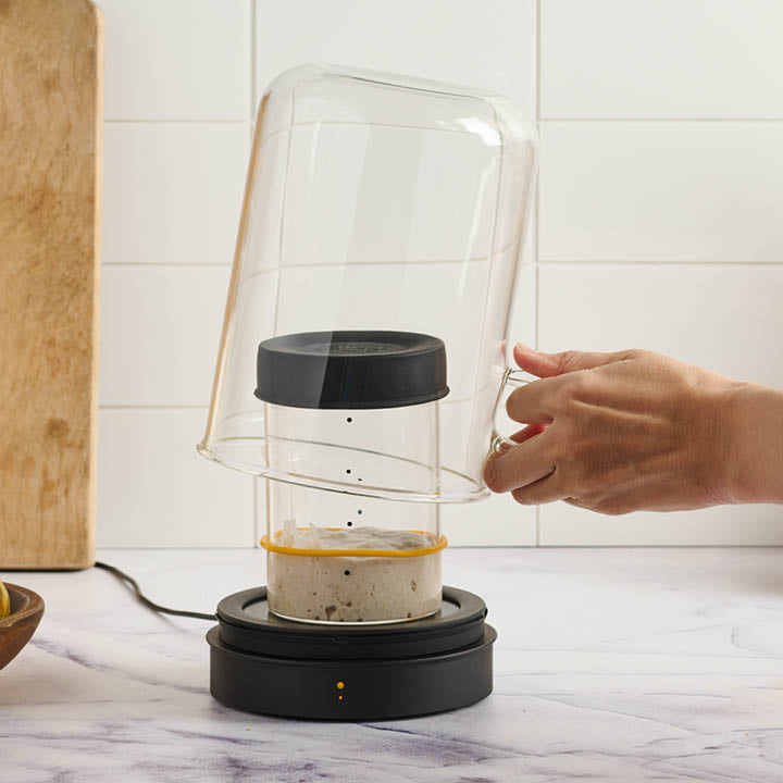 Goldie by Sourhouse + Cooling Puck - Country Life Natural Foods