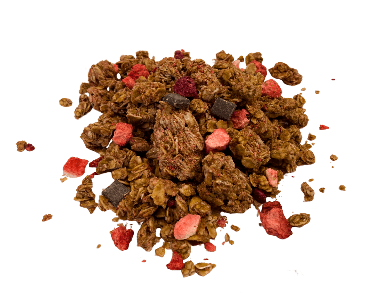 Granola, Dark Chocolate & Red Berries, Nature's Path, Cereals & Granolas - Country Life Natural Foods