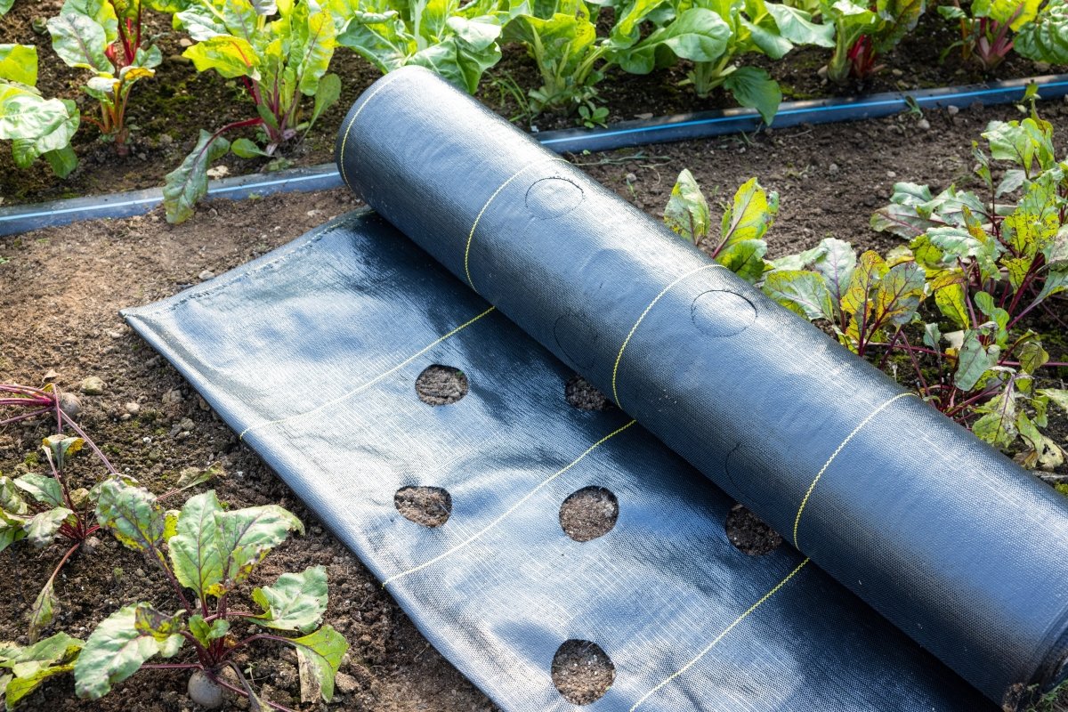 Quick - Plant Fabric — Weed Barrier - Country Life Natural Foods