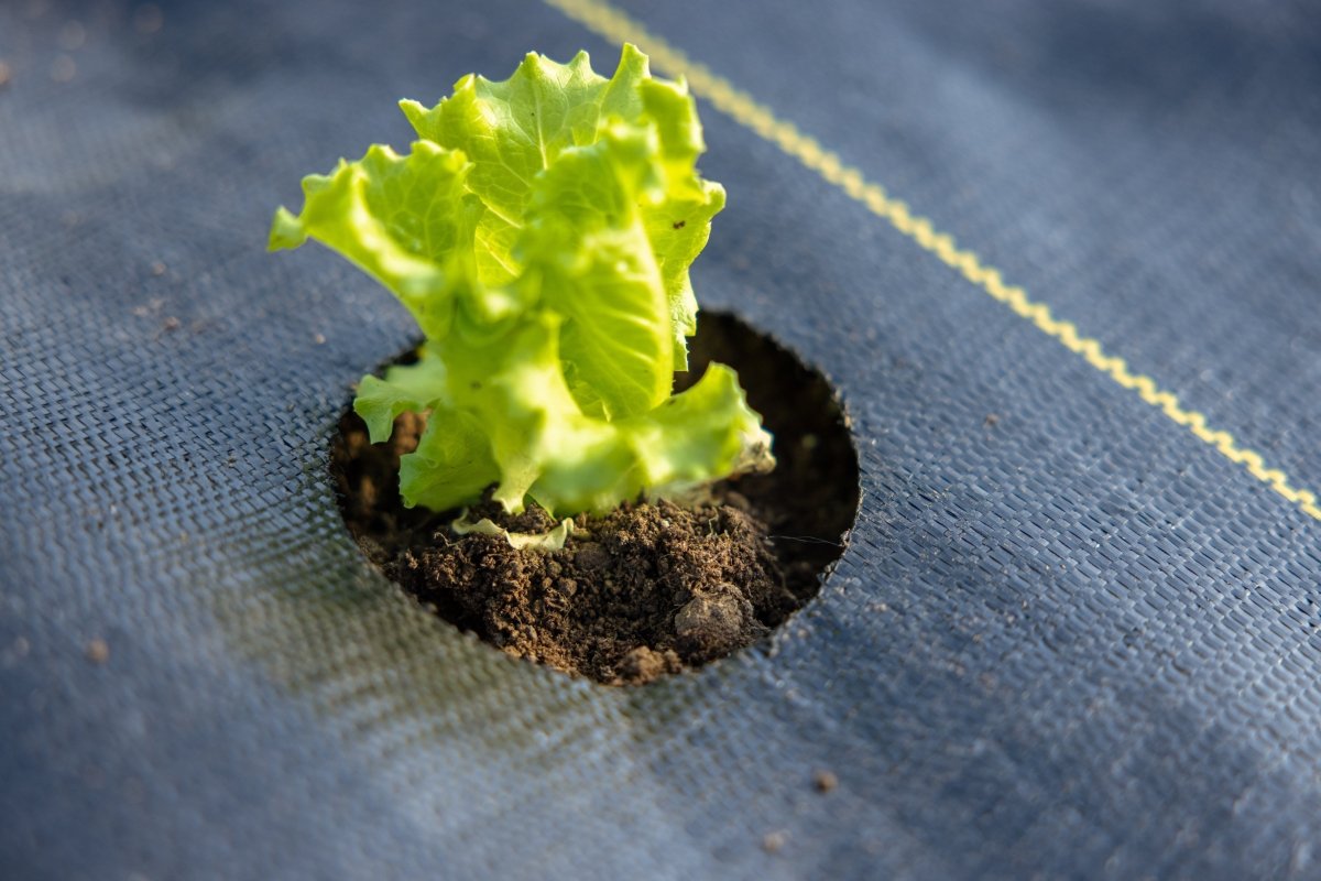 Quick-Plant Fabric — Weed Barrier, - Country Life Natural Foods
