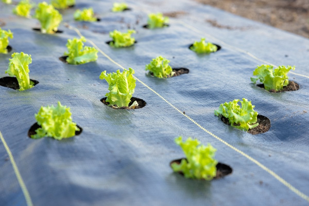 Quick-Plant Fabric — Weed Barrier, - Country Life Natural Foods