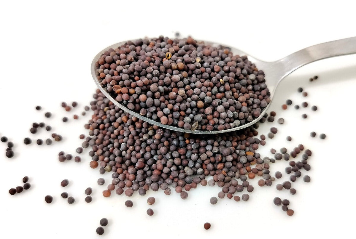 Mustard Seed, Whole, Herbs Spices & Seasonings - Country Life Natural Foods