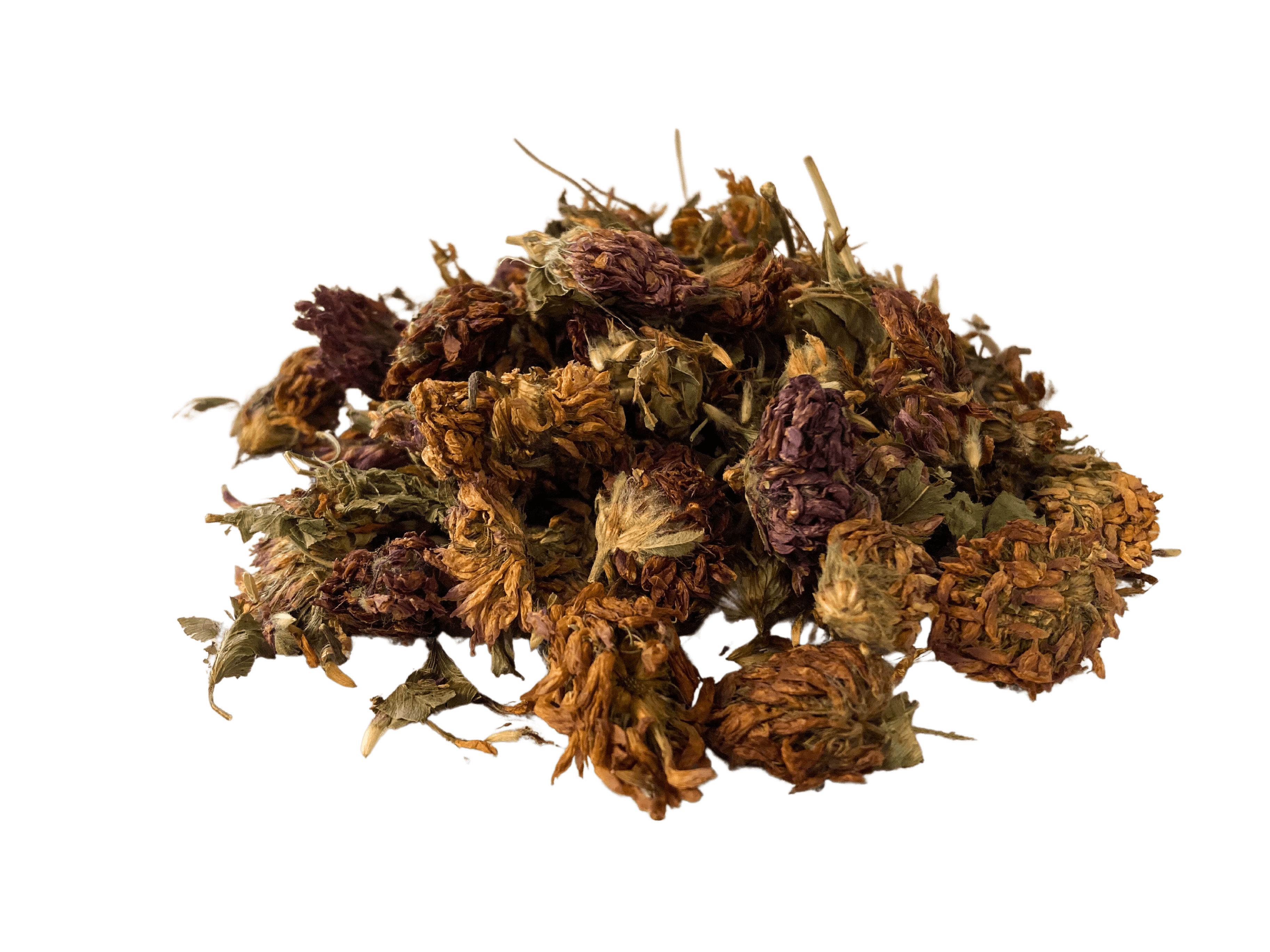Red Clover Blossoms, Herbs - Country Life Natural Foods