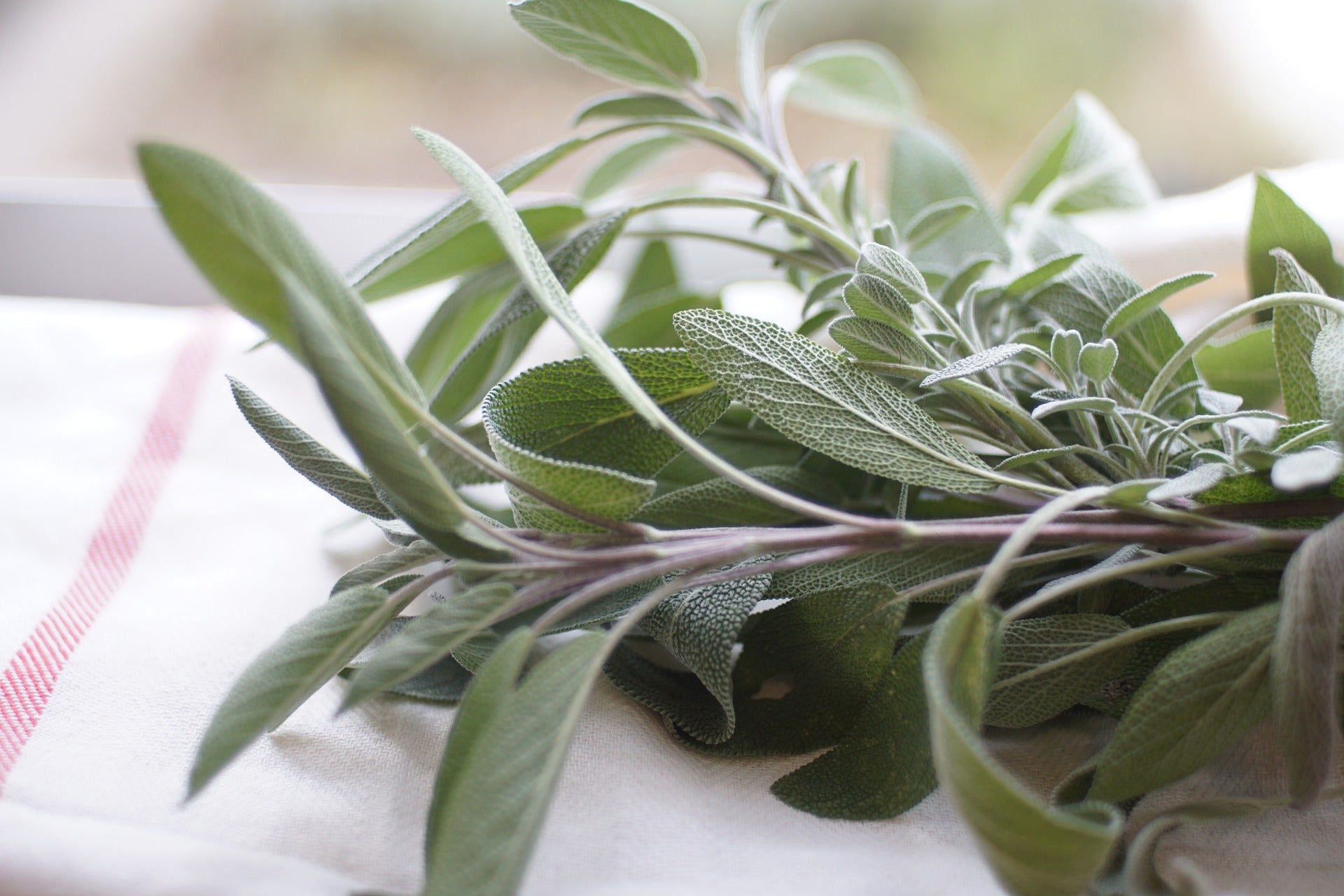 Sage, Rubbed, Herbs Spices & Seasonings - Country Life Natural Foods