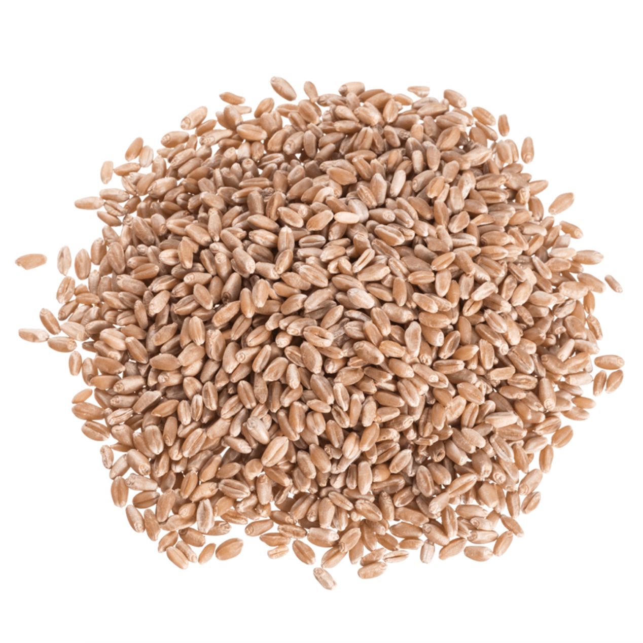 Wheat Berries, Hard Red, Spring Wheat, Grains - Country Life Natural Foods