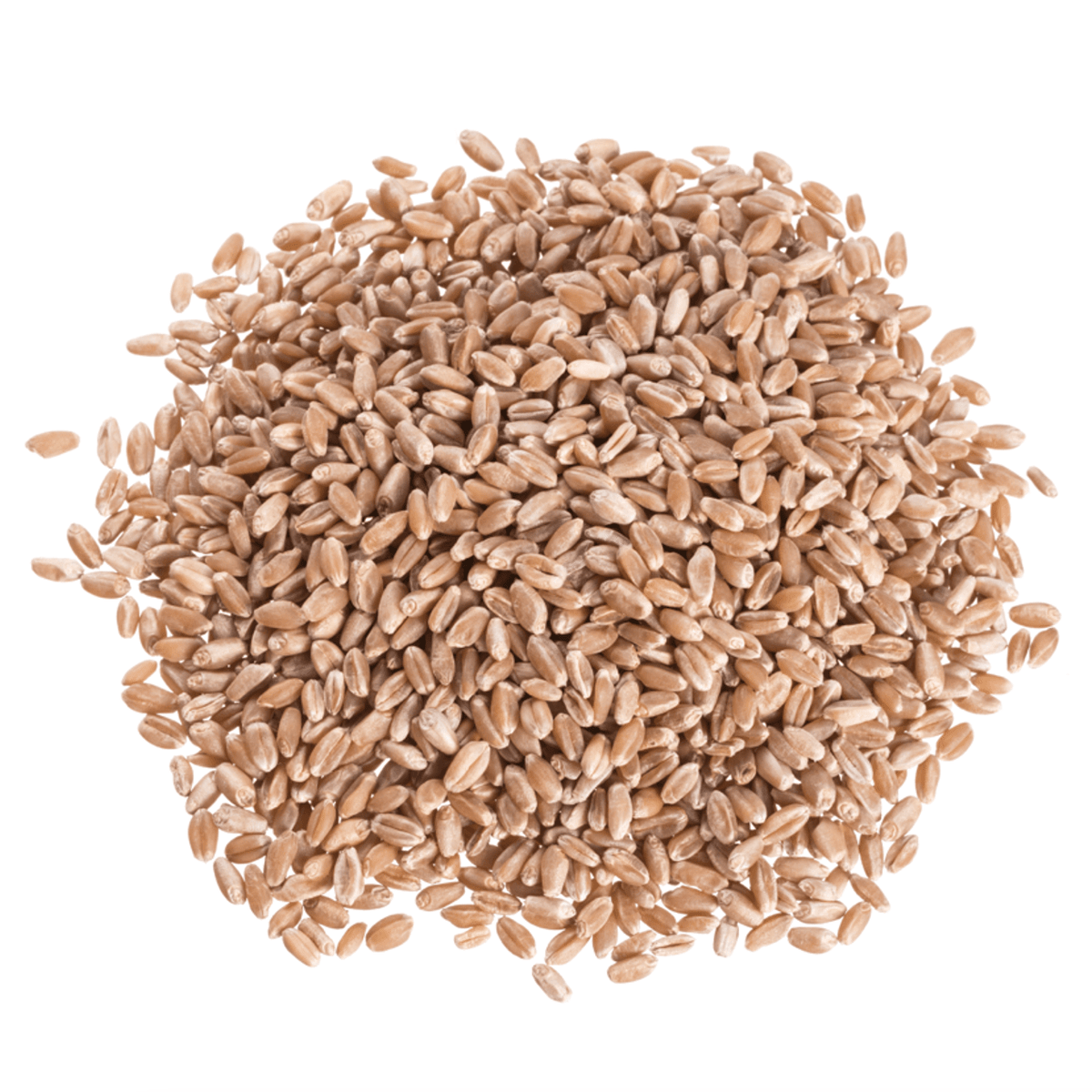 Wheat Berries, Hard Red, Spring Wheat, Grains - Country Life Natural Foods