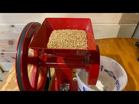 Wheat Berries, Hard Red, Spring Wheat
