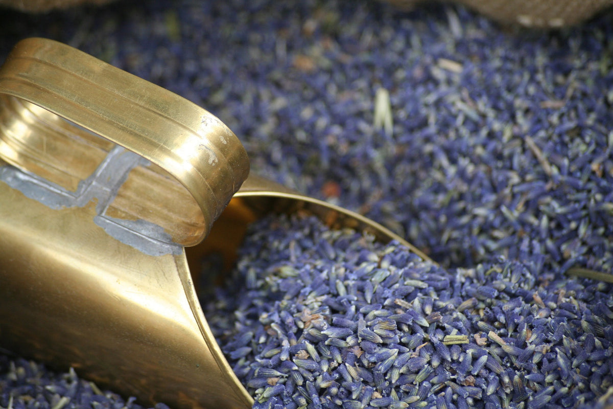 Lavender Flowers, Whole, Herbs - Country Life Natural Foods