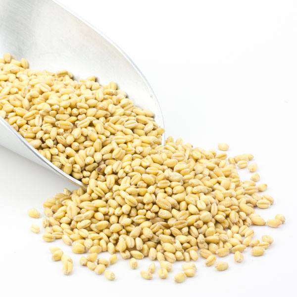 Wheat Berries, Soft White - Country Life Natural Foods
