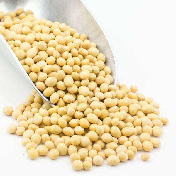 Soy Beans, Organic - Country Life Natural Foods