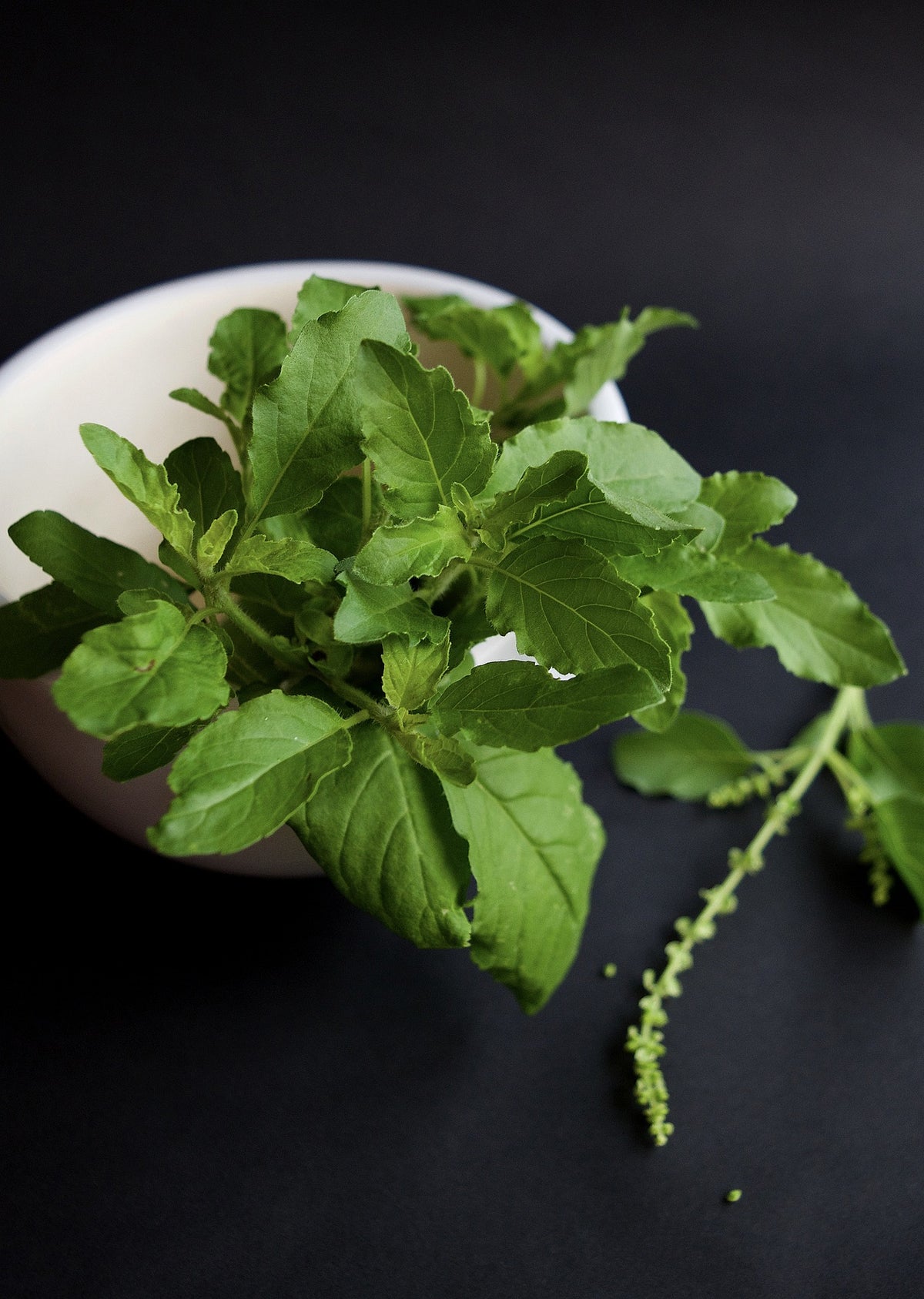 Tulsi Holy Basil Leaf, Granules, Herbs - Country Life Natural Foods