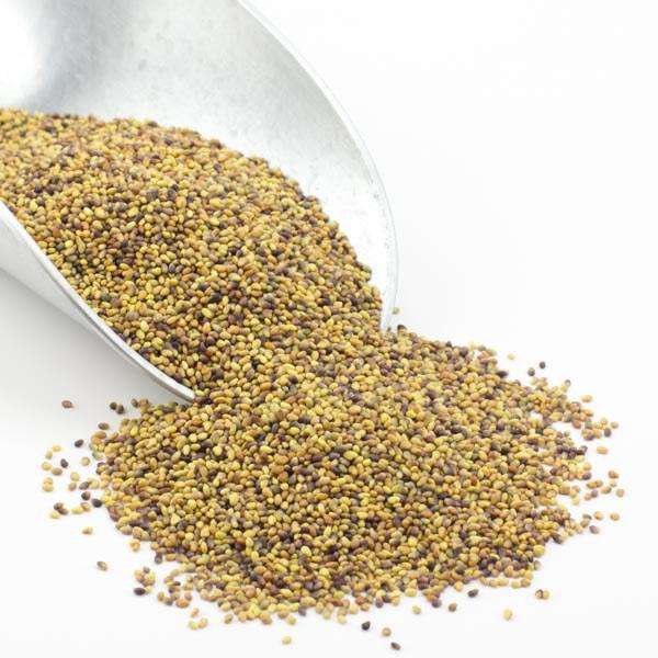 Clover Seeds, Red, Organic - Country Life Natural Foods