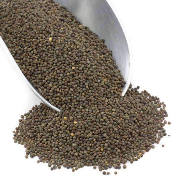 Broccoli Seed, Organic, Seeds - Country Life Natural Foods