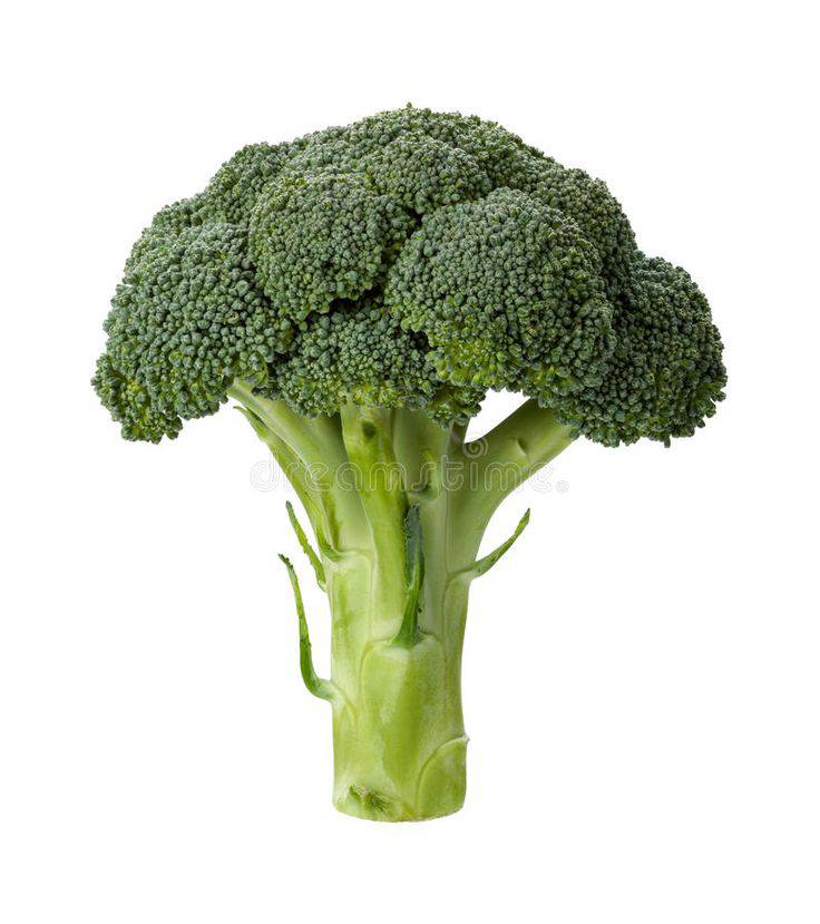 [Test item] Internet Broccoli, - Country Life Natural Foods